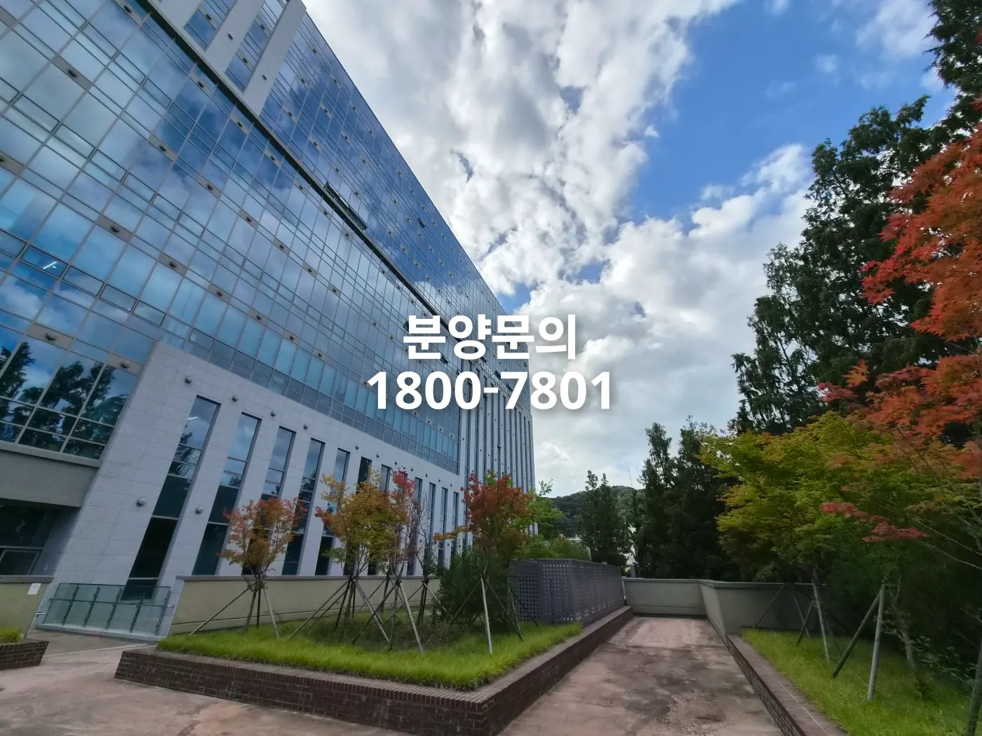 대전 플랫폼시티 지식산업센터 외관과 조경. 유리 커튼월 건물과 단풍이 든 나무, 보행로가 보이는 현장 사진